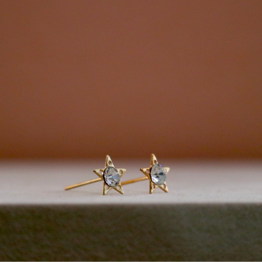 Star Stud Earring